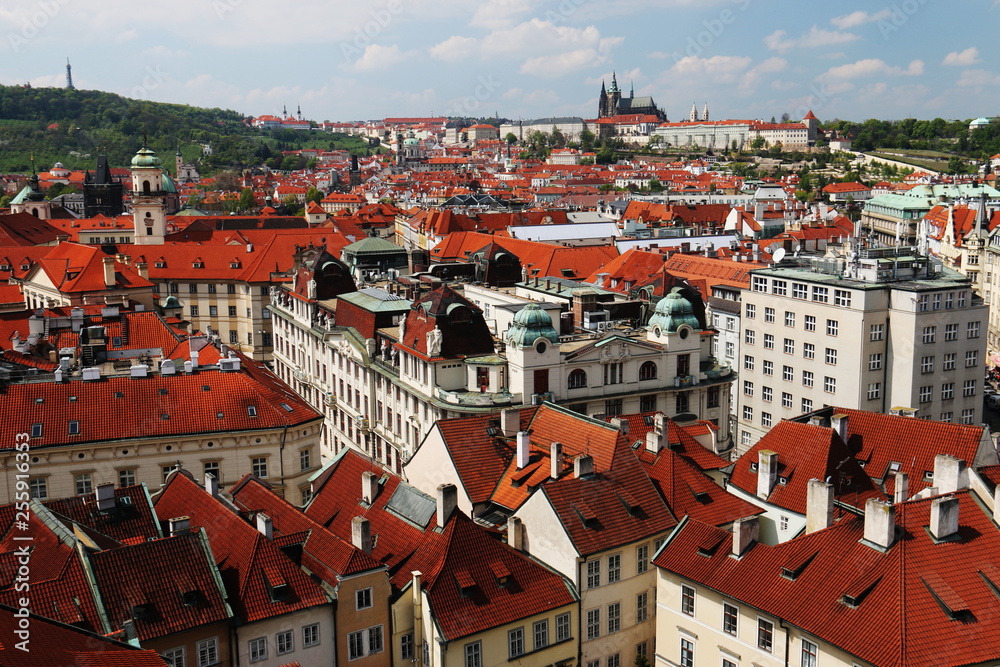 Obraz premium チェコ プラハ遠景