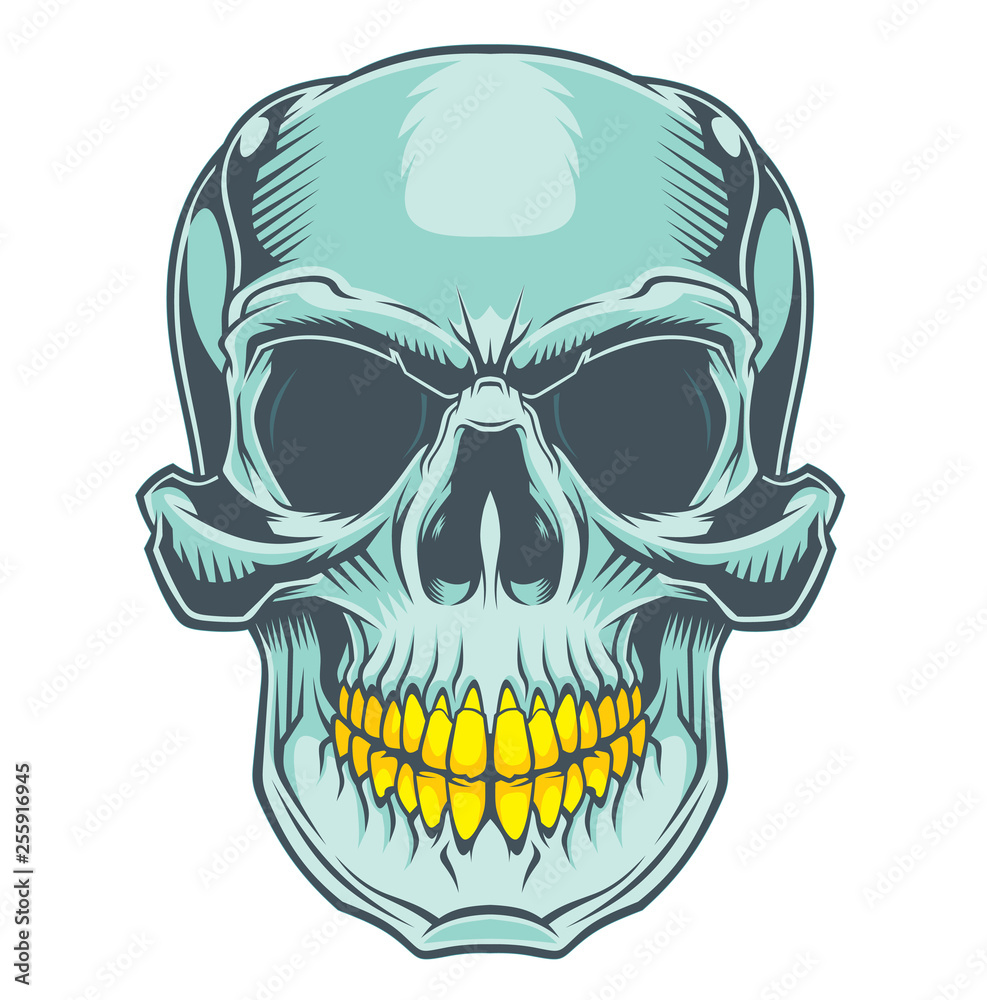 The smile of the skull. The smile of the skull.