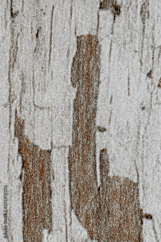 Obraz premium Art object. Abstraction. Ready photo background. Soft focus.