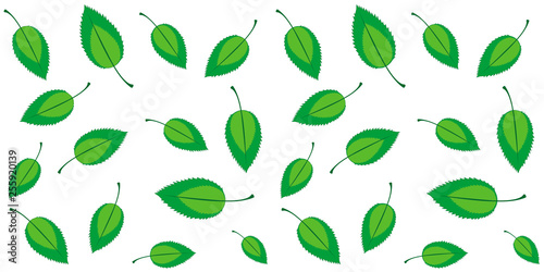 Fresh spring seamless eco background with green  leaves isolated on white, no gradient, vector illustration