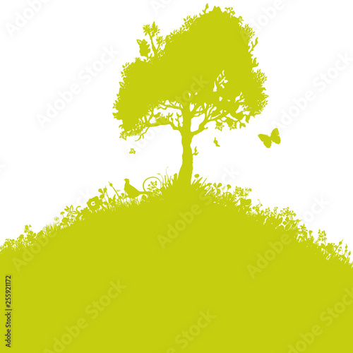 Vereinzelter Baum auf einem Hügel am Horizont