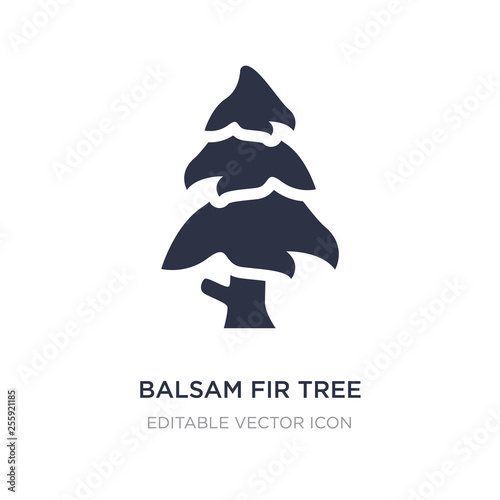 balsam fir tree icon on white background. Simple element illustration from Nature concept.