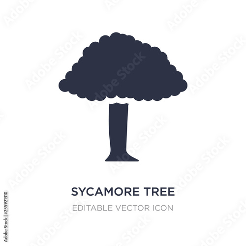 sycamore tree icon on white background. Simple element illustration from Nature concept.