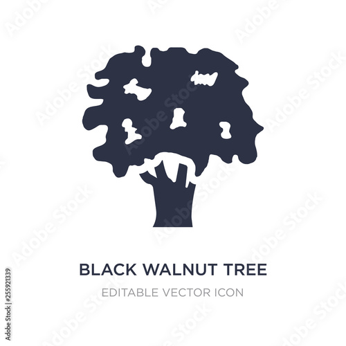 black walnut tree icon on white background. Simple element illustration from Nature concept.