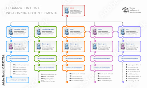 Organization Chart, Business Chart, Vector Graphics