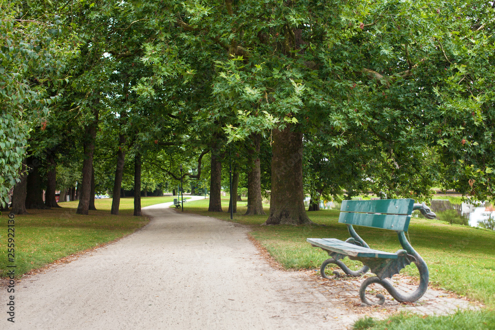 Wooden park bench under oak trees Wooden park bench under oak trees