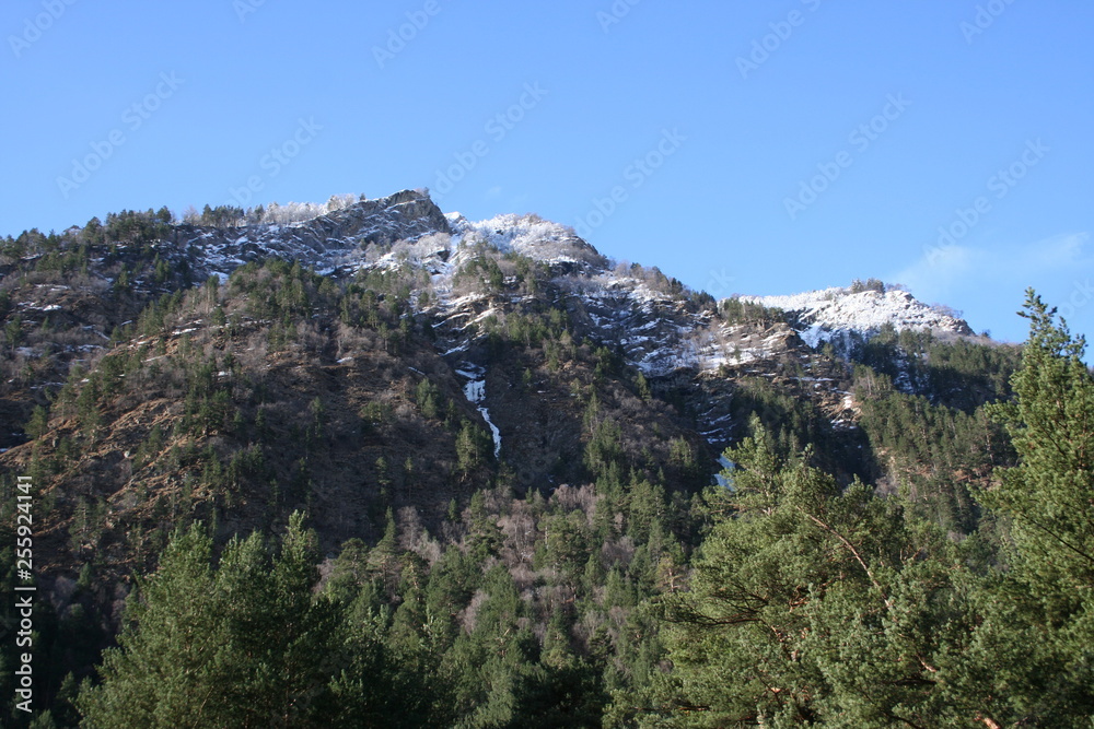 Forests and mountains with snow-capped peaks