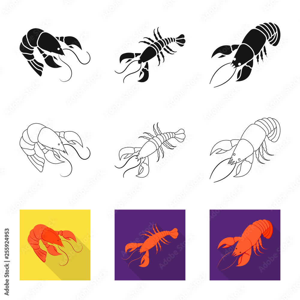 Obraz premium Vector illustration of appetizer and ocean symbol. Set of appetizer and delicacy stock vector illustration.
