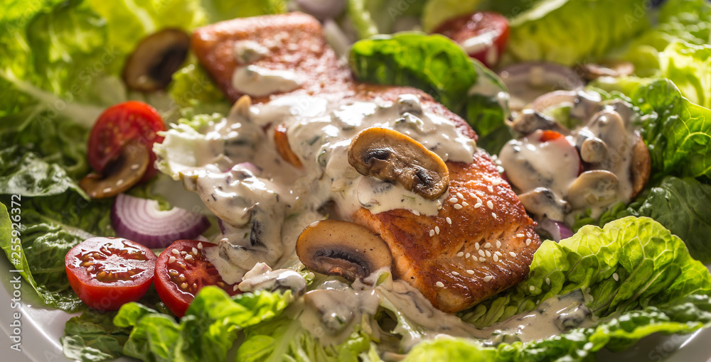 Roasted salmon fillet with fresh vegetable salad tomatoes mushrooms sauce and sesame Roasted salmon fillet with fresh vegetable salad tomatoes mushrooms sauce and sesame