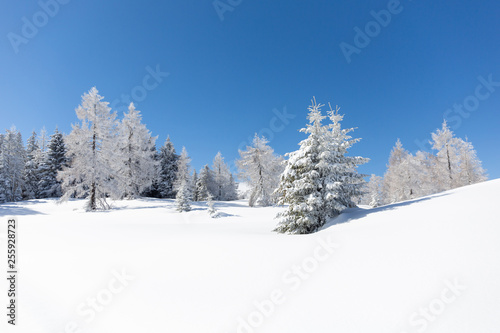  Beautiful winter scenery. Austrian countryside with a lot of fresh snow