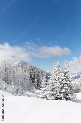  Beautiful winter scenery. Austrian countryside with a lot of fresh snow. Vertical shot  © Olha Sydorenko