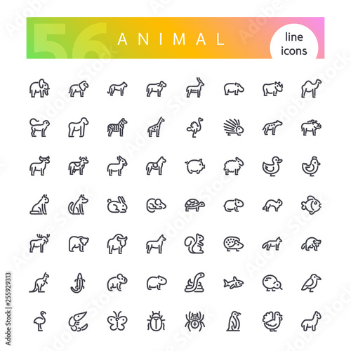 Set of 56 animals from africa, australia, forest, sea, mammals, birds, reptiles, fish, insects and other line icons suitable for web, infographics and apps. Isolated on white background. Clipping