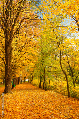 Bielsko-Bia  a  Bielitz - Park W    kniarzy jesieni  