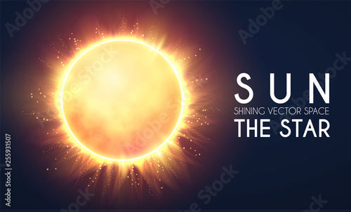 Sun in Universe. Shining Star Cosmos Design. Supernova. Science Background.