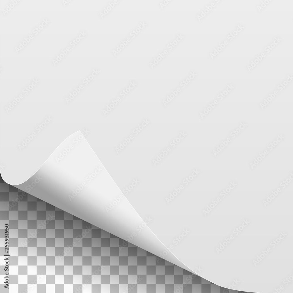 White paper sheet with curled lower left corner and transparent background under it. Paper mock up. Vector illustration. White paper sheet with curled lower left corner and transparent background under it. Paper mock up. Vector illustration.