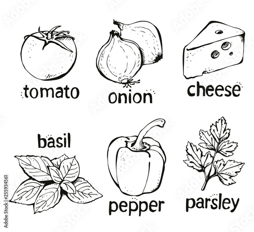 Pizza ingredients vector set, hand drawn food illustration
