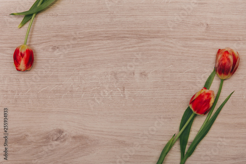 Fototapeta Naklejka Na Ścianę i Meble -  Red tulips on wooden background. Tulips for women. Place for inscription.