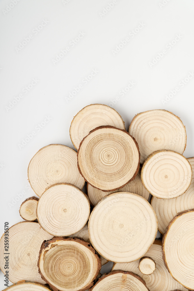 Pine tree cross-sections with annual rings on white background. Lumber piece close-up shot, top view. Pine tree cross-sections with annual rings on white background. Lumber piece close-up shot, top view.