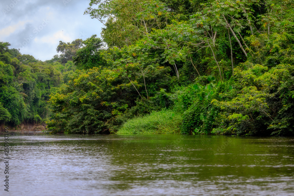 The beautiful nature of Kabalebo in Surinam The beautiful nature of Kabalebo in Surinam