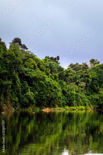 The beautiful nature of Kabalebo  Surinam 