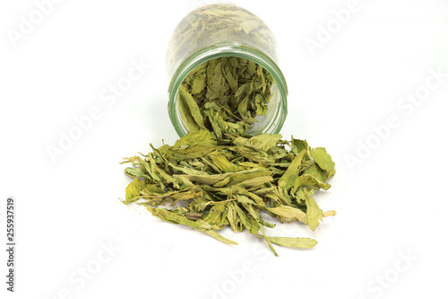 Dried Stevia ( Stevia rebaudiana Bertoni) leaves poured out of a glass jar isolated on white background. photo