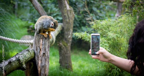 Äffchen im Zoo 