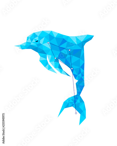 blue dolphin with lines of constellations in geometric style. Astrology animal colorful modern geometric icon, crystal design illustration. Animal crystal constellation.