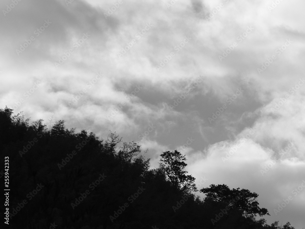 black and white silhouette tree in mountain with cloud in the sky