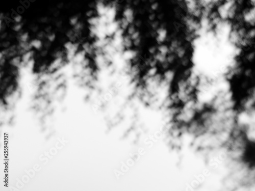 black and white blur inn nature
