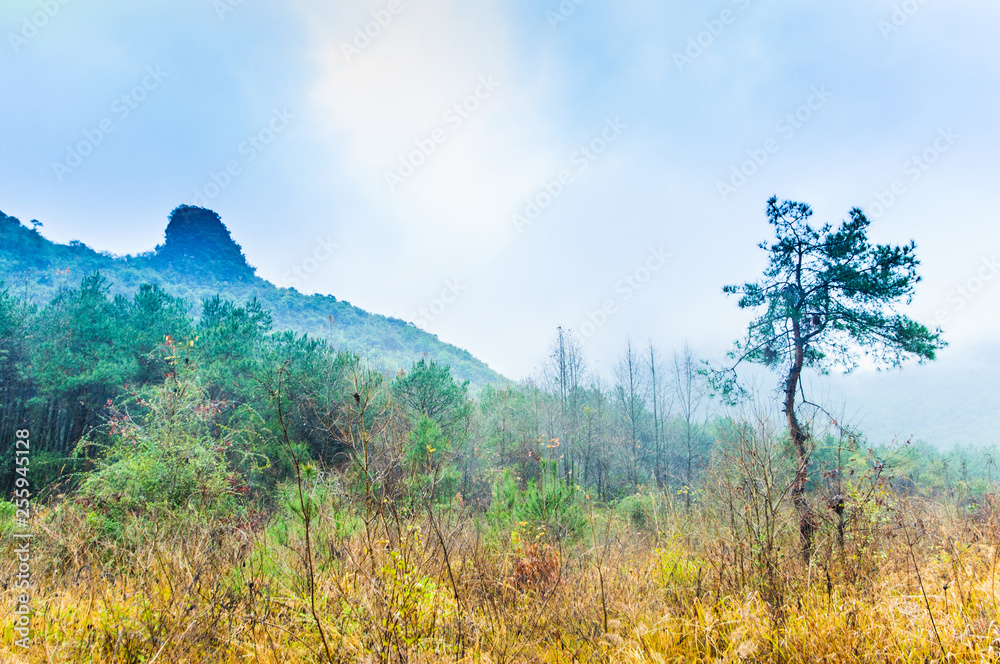 Fototapeta premium Mountain in the mist scenery 