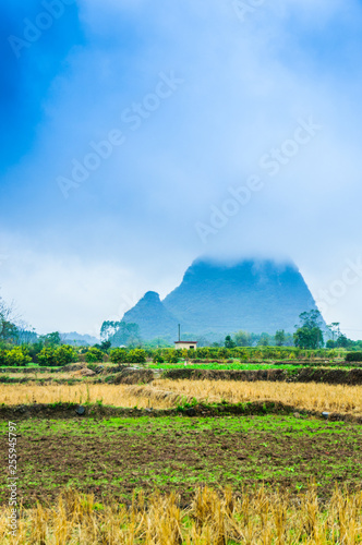 Mountain in the mist scenery 