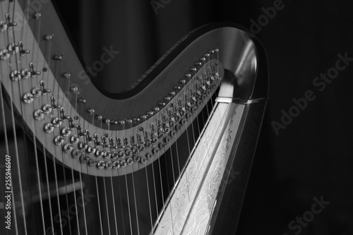 Harp music. Harp instrument closeup. Detail of musical instrument Fototapet
