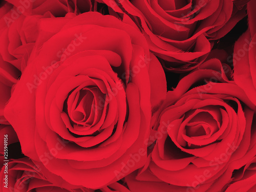 fake red roses closeup