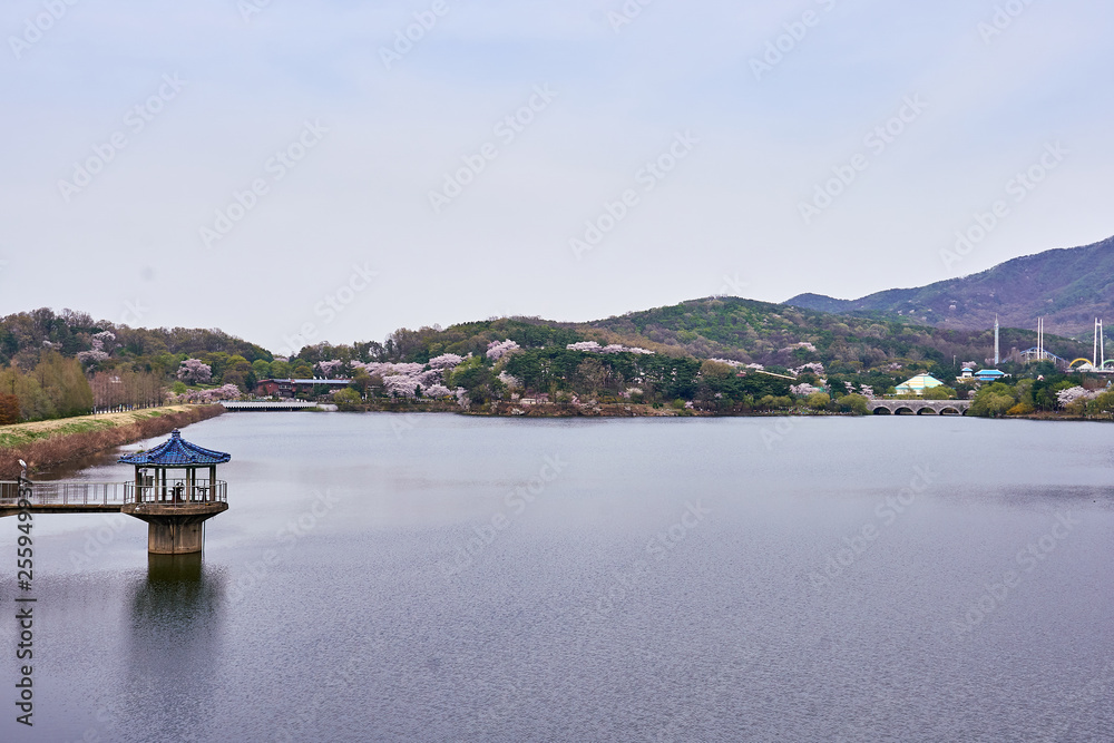 A view of blue roof gazebo on a lake and  mountains with cherry blossoms.