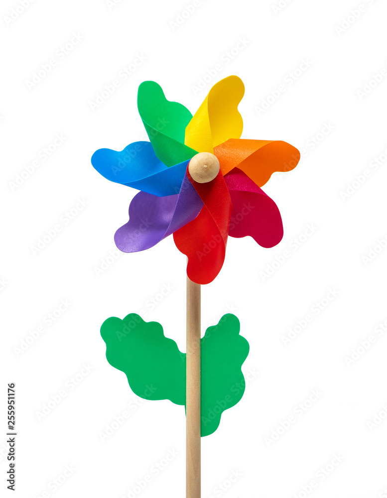A Catherine wheel wind (pinwheel) isolated on white background. Colors: green, yellow, blue, purple, fuchsia, orange, red. Child's toy made of plastic curls attached to a wooden stick. Like a flower. A Catherine wheel wind (pinwheel) isolated on white background. Colors: green, yellow, blue, purple, fuchsia, orange, red. Child's toy made of plastic curls attached to a wooden stick. Like a flower.