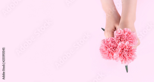 Woman giving bunch of elegance blooming baby pink color tender carnations isolated on bright pink background, mothers day decor design concept, top view, close up, copy space