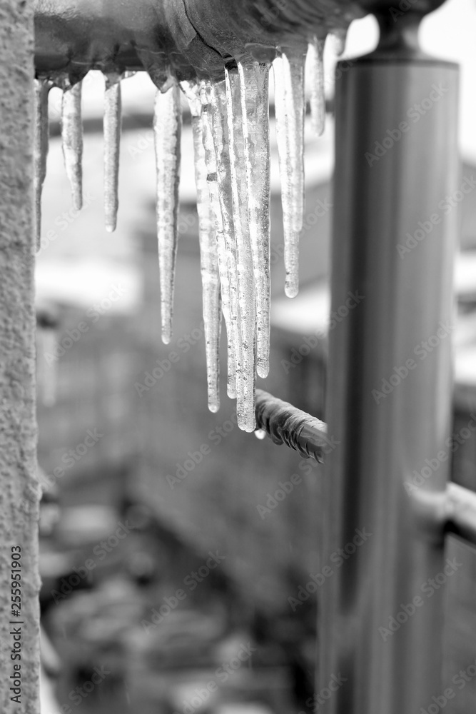 The black and white image of frozen water in the form of a candlelit hangs from a metal fencing to the street The black and white image of frozen water in the form of a candlelit hangs from a metal fencing to the street