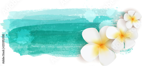 Plumeria on watercolor banner