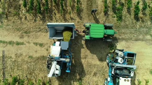 Vendanges mécaniques dans les vignes