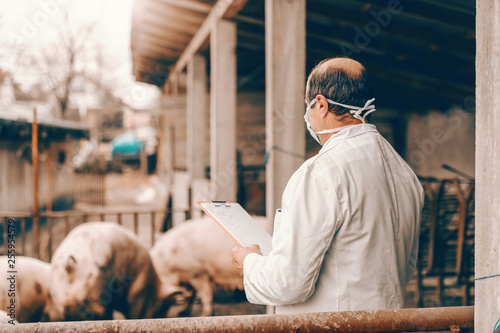 Veterinarian in white coat and protective mask on face holding clipboard and checking on pigs while standing in cote.