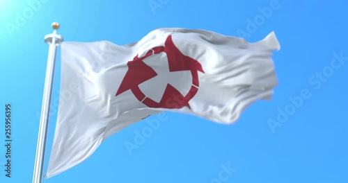 Flag of Ōita Prefecture japanese, Japan. Loop photo