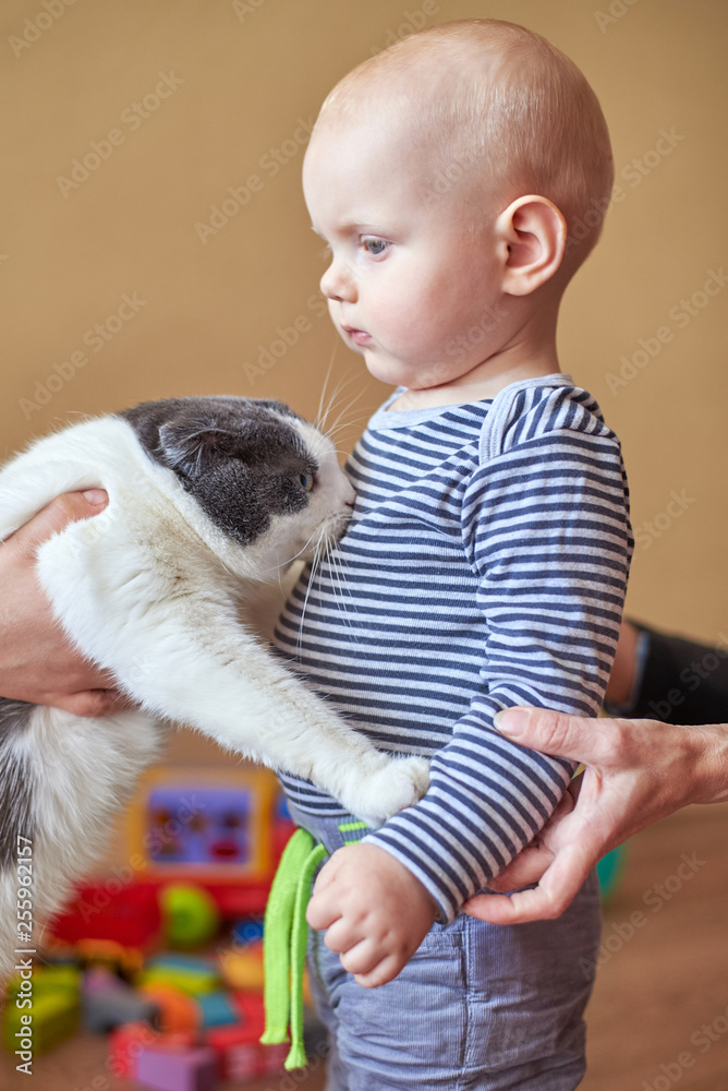 Mom introduces the cat with her son, the boy is afraid of the animal Mom introduces the cat with her son, the boy is afraid of the animal