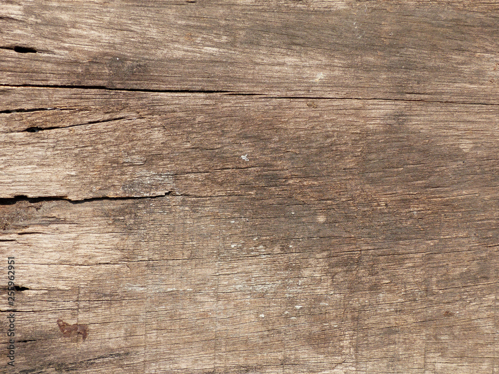 Naklejka premium old wood with crack texture