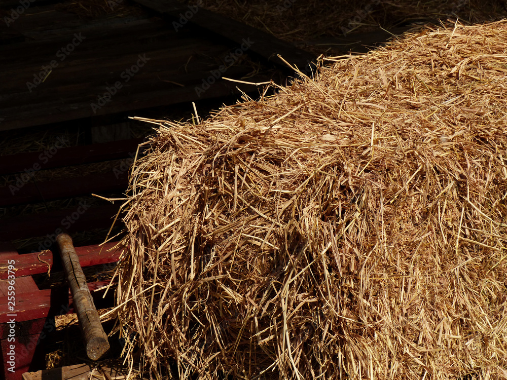 pile of straw Stock Photo Adobe Stock