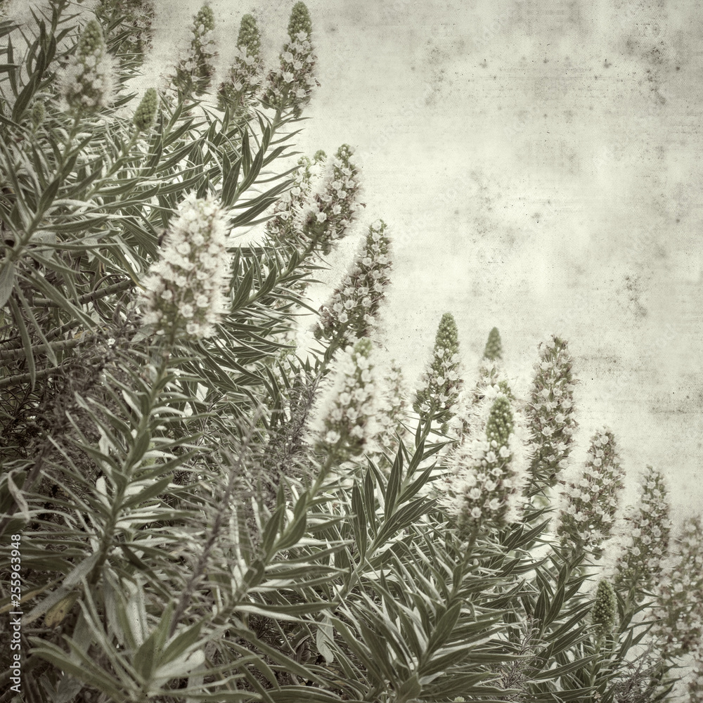 old paper background old paper background
