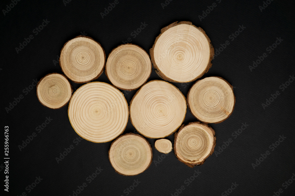 Pine tree cross-sections with annual rings on black background. Lumber piece close-up shot, top view. Pine tree cross-sections with annual rings on black background. Lumber piece close-up shot, top view.