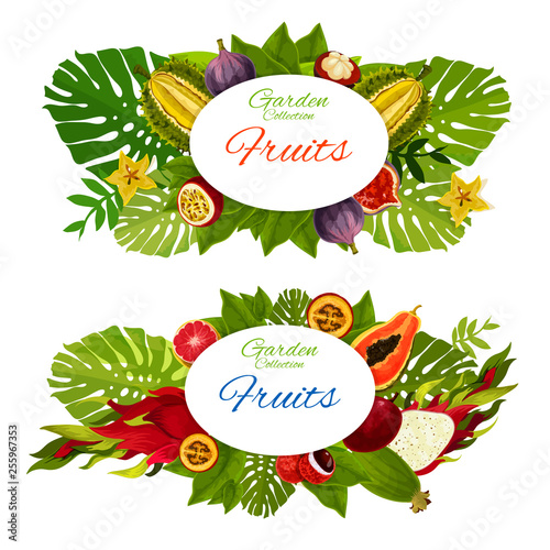 Tropical fruits, exotic food on palm leaves