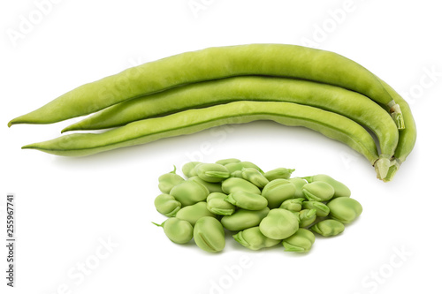 Wallpaper Mural fava bean (Vicia faba) Torontodigital.ca
