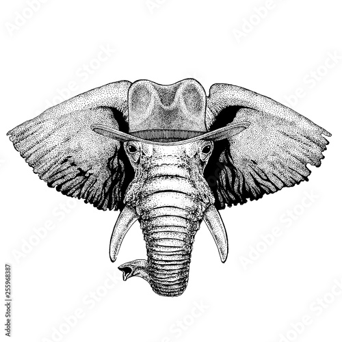 African or indian Elephant wearing cowboy hat. Wild west animal. Hand drawn image for tattoo, emblem, badge, logo, patch, t-shirt
