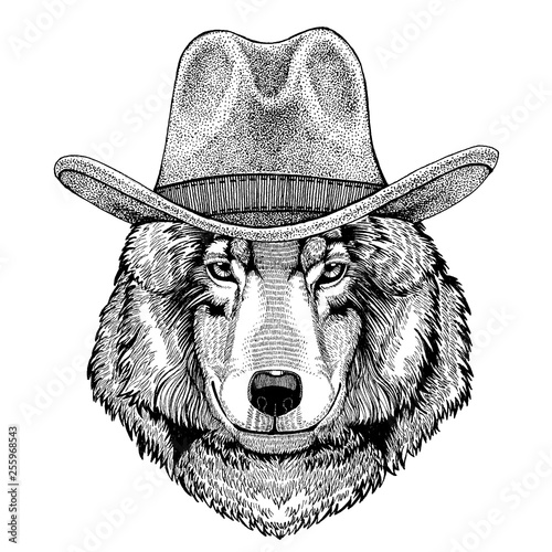 Wolf, dog wearing cowboy hat. Wild west animal. Hand drawn image for tattoo, emblem, badge, logo, patch, t-shirt
